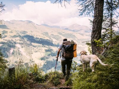 Wandern mit Hund in Nationalpark Hohe Tauern