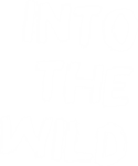 Into_the_wild_nationalpark_lodge_grossglockner
