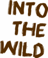 Logo Into the Wild